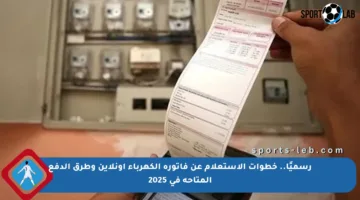 رسميًا.. خطوات الاستعلام عن فاتورة الكهرباء أونلاين وطرق الدفع المتاحة في 2025